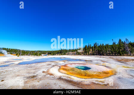 Chromatic Pool, Yellowstone National Park Stock Photo - Alamy