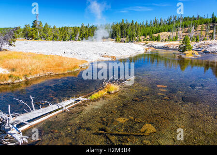 Firehole River with a steaming geyser in the background in Yellowstone National Park Stock Photo