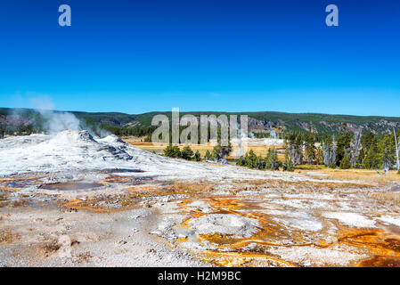 Geyser and landscape the Upper Geyser Basin in Yellowstone National Park Stock Photo