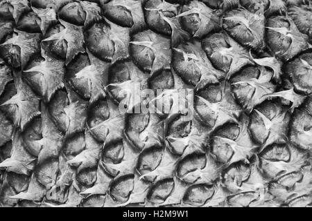Pineapple fruit isolated bacground close up Stock Photo