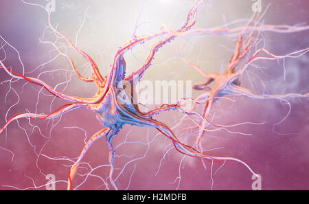 Neurons and nervous system. 3d render of nerve cells Stock Photo