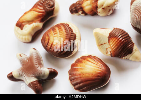 Chocolate seashells food backround isolated on white Stock Photo