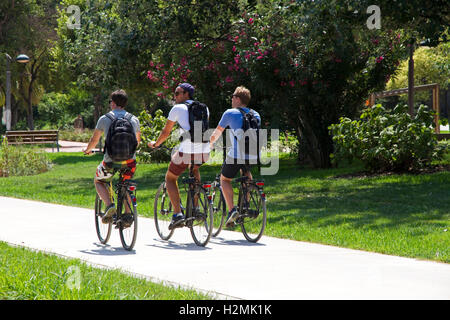 Cyclists in Jardines del Turia, Turia gardens,urban park, Valencia, Spain Stock Photo