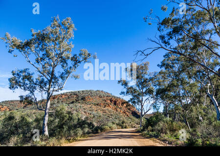 tillite walls of the Balcanoona Ranges at Italowie Gap, Vulkathunha-Gammon Ranges National Park, North Flinders Ranges, SA Stock Photo