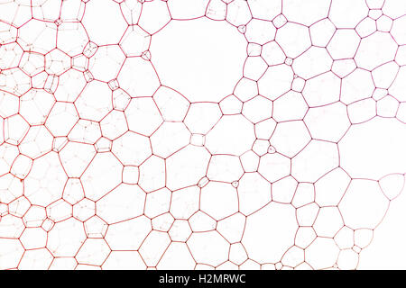 Red soap bubbles against glass create abstract geometric pattern. Stock Photo