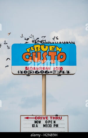 Pigeons or rock doves, Columba livia, flock on the pole sign of El Buen Gusto, 2116 SW 74th, Oklahoma City, Oklahoma, USA. Stock Photo