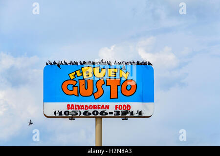 Pigeons or rock doves, Columba livia, flock on the pole sign of El Buen Gusto, 2116 SW 74th, Oklahoma City, Oklahoma, USA. Stock Photo