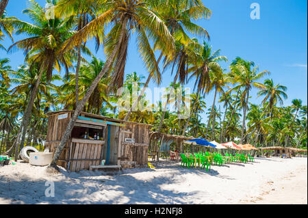 BAHIA, BRAZIL - FEBRUARY 11, 2016: Brazilian beach shack selling tropical drinks stands ready for customers under palm trees. Stock Photo