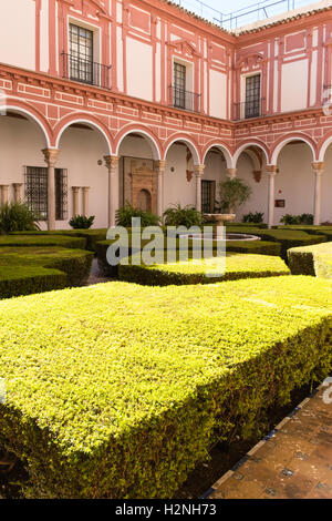 Courtyard within the Museo de Bellas Artes, Seville, Spain Stock Photo