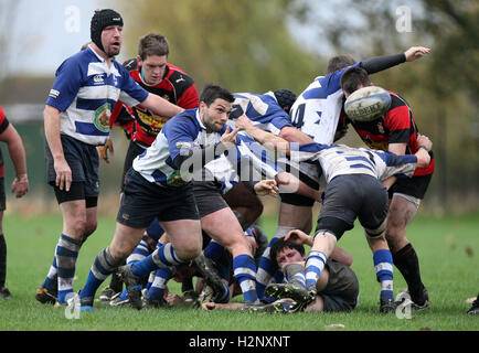 Maldon RFC vs Campion RFC - Essex Rugby League - 14/11/09 Stock Photo ...