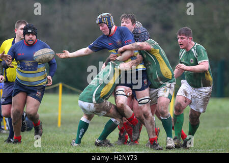 Old Cooperians RFC vs Saffron Walden RFC - Rugby Union at Coopers Company & Coborn School, Upminster  - 14/02/15 Stock Photo