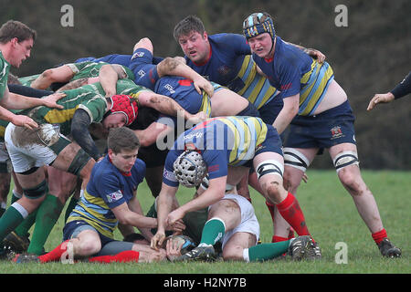 Old Cooperians RFC vs Saffron Walden RFC - Rugby Union at Coopers Company & Coborn School, Upminster  - 14/02/15 Stock Photo