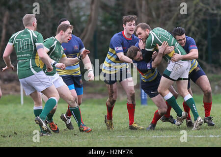 Old Cooperians RFC vs Saffron Walden RFC - Rugby Union at Coopers Company & Coborn School, Upminster  - 14/02/15 Stock Photo