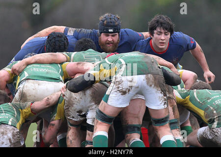 Old Cooperians RFC vs Saffron Walden RFC - Rugby Union at Coopers Company & Coborn School, Upminster  - 14/02/15 Stock Photo