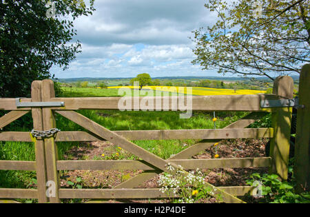 Rural view through gate across fields Stock Photo