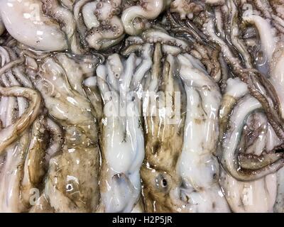 Group of raw octopus ready to cook in the market Stock Photo