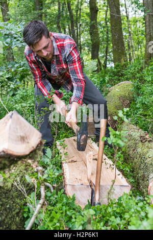 Lumberjack splitting a tree trunk Stock Photo