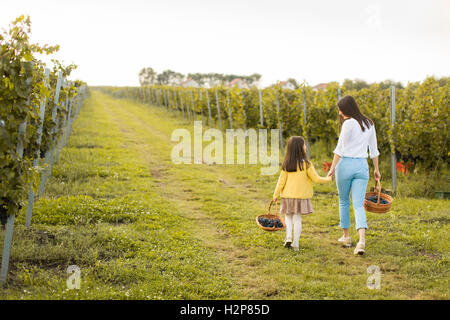 Young mother and her cute girl have fun in autumn vineyard Stock Photo