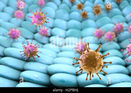 Viruses infecting human cells, computer illustration Stock Photo - Alamy