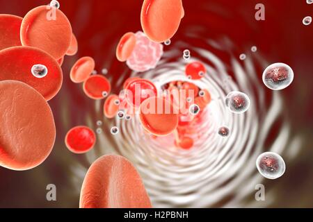 Nanoparticles in blood vessel, computer illustration. Conceptual image demonstrating a potential application of nanotechnology for diagnosis and treatment of diseases. Stock Photo