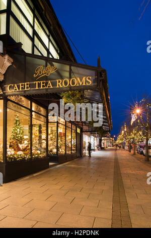 Festive Christmas decorations & lights in attractive window display at Bettys Café Tea Rooms, illuminate dark street - Ilkley, Yorkshire, England, UK. Stock Photo