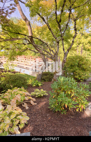 Japanese garden and park in Gresham Oregon. Stock Photo