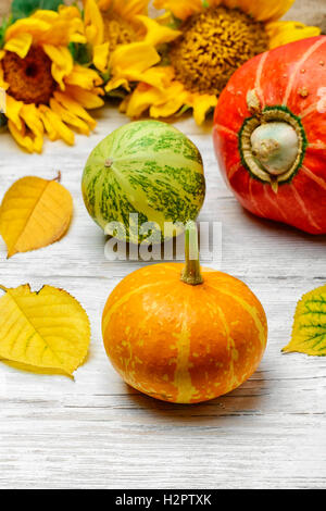 Still life with three decorative pumpkins from the autumn harvest Stock Photo