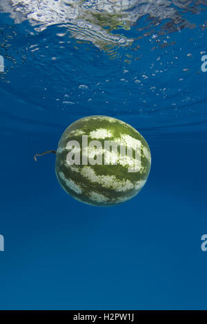 water melon splashing in blue water Stock Photo