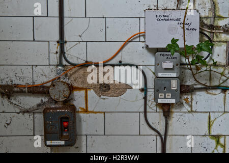 Electrical points now overgrown within St Ann's Hospital Mortuary, Haringey, North London, UK Stock Photo