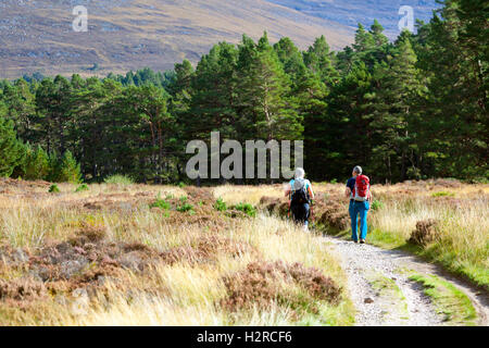 A couple using the trail at Rothiemurcus or Rothiemurcus Estate heading from Loch an Eilein to the start of the Lairig Ghru hill pass on a warm autumn day in the Cairngorm Mountians, Scotland, UK Stock Photo
