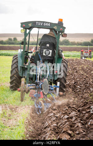 Cottenham, Cambridgeshire, UK 1st October 2016. Fifty competitors take part in the 174th Cottenham and District Ploughing Association annual ploughing match in the Fens near Cambridge. The Association is believed to be the first of its kind in the country and started in 1842 with 12 horse drawn ploughs competing against each other.  The tradition sees various classes of tractor and ploughs vying with each other against set criteria including the best straight lines, uniformity and finish. Credit Julian Eales/Alamy Live News Stock Photo