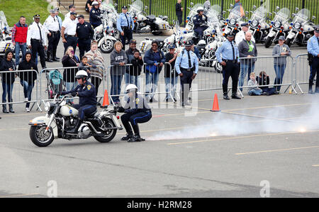 Philadelphia, PA, USA. 1st Oct, 2016. 62nd annual Philadelphia Hero Thrill Show motorcycles pictured at the Wells Fargo parking lot in Philadelphia, Pennsylvania on October 1, 2016 Credit:  Star Shooter/Media Punch/Alamy Live News Stock Photo