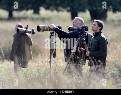 London, UK. 02nd Oct, 2016. Wildlife photographers in Richmond Park, London Credit:  Dorset Media Service/Alamy Live News Stock Photo