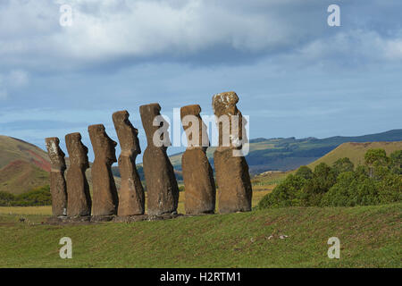 Moai statues set amongst green fields and facing the sea on Rapa Nui (Easter Island)