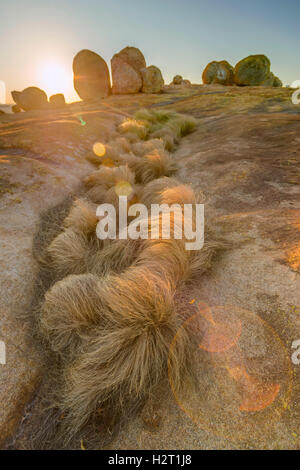 The unique balancing rock landscape of the Matobo National Park ...