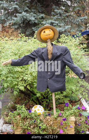 Scarecrow in suit and pumpkin head for halloween. Stock Photo