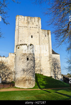 Chateau de Loches in Loire valley in France. Constructed in 9th century. Stock Photo