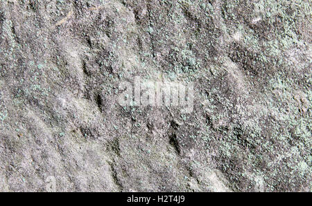 Silica rock formation makes a textured background Stock Photo