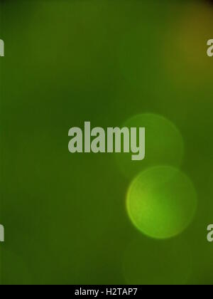 Green bokeh  background. Stock Photo