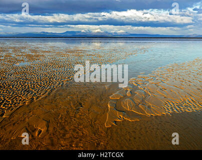 View of the snow capped Lake District across the wet sands of Morecambe Bay as tide recedes, Lancashire, UK Stock Photo