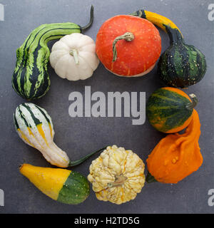 Decorative Halloween and autumn frame with pumpkins on rusty gray background. Owerhad view Stock Photo