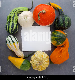 Decorative Halloween and autumn frame with pumpkins on rusty gray background. Owerhad view Stock Photo