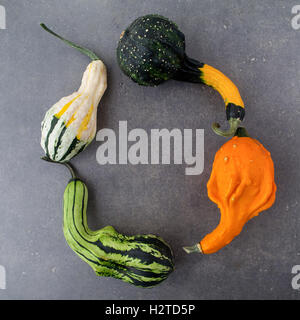 Decorative Halloween and autumn frame with pumpkins on rusty gray background. Owerhad view Stock Photo