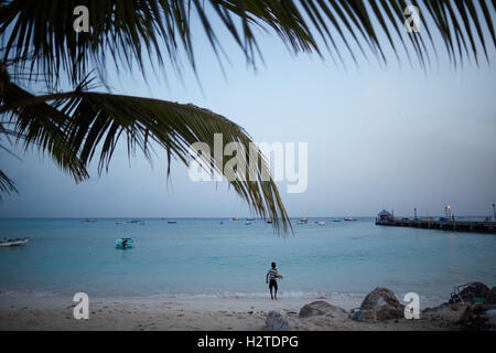 Barbados Oistins chef cook cooking   coastal town parish Christ Church fishing village tourists hang out Friday night Market baz Stock Photo