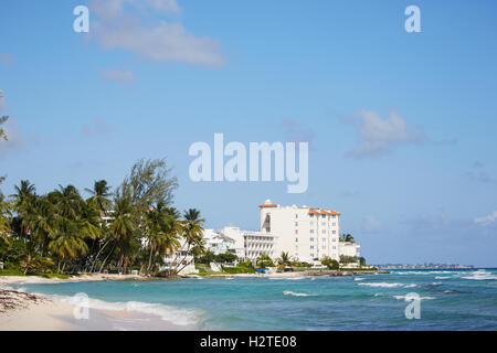 Barbados Hastings Bay hotels   Man swimming in the bay beach sea water black male copyspace palm trees near Carlisle Bay sunny b Stock Photo