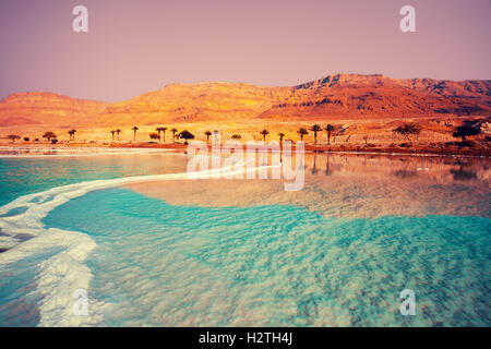 Dead Sea seashore with palm trees and mountains on background Stock Photo