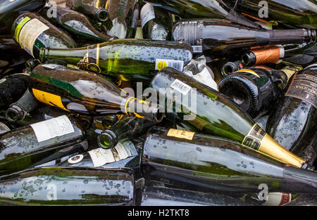 Bottles of champagne storage to recycle, recycling center Stock Photo