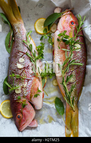 Red snappers ready for baking, with rosemary, thyme, lemon and garlic Stock Photo