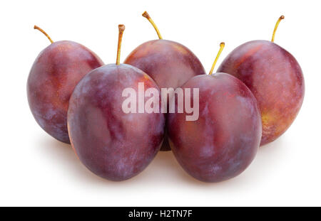 plums isolated Stock Photo