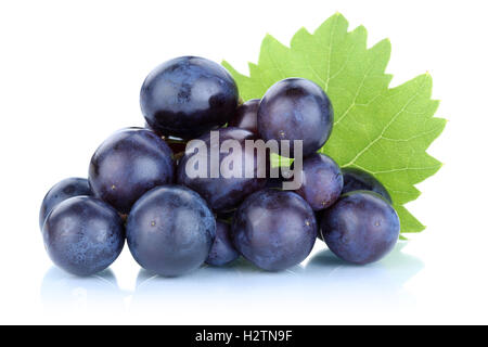Grapes blue fresh fruits fruit isolated on white Stock Photo